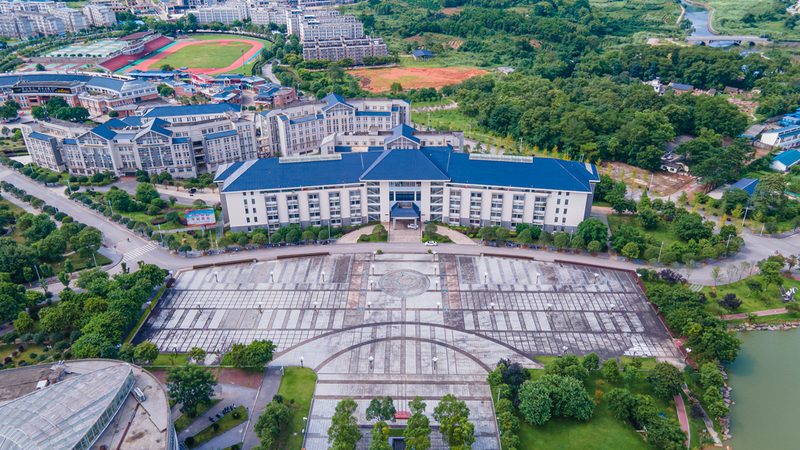 国产二极管代理政策：揭秘行业背后的支持与挑战