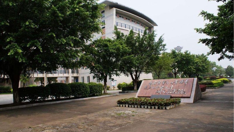 新能源连接器：成都生产厂的崛起与挑战**